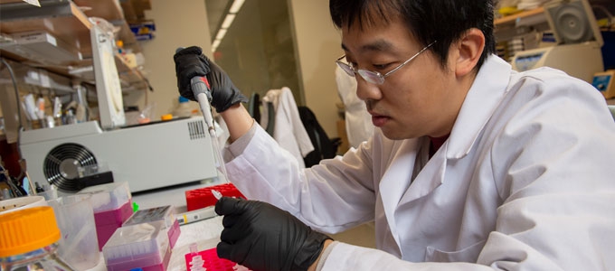 health scientist working in a lab