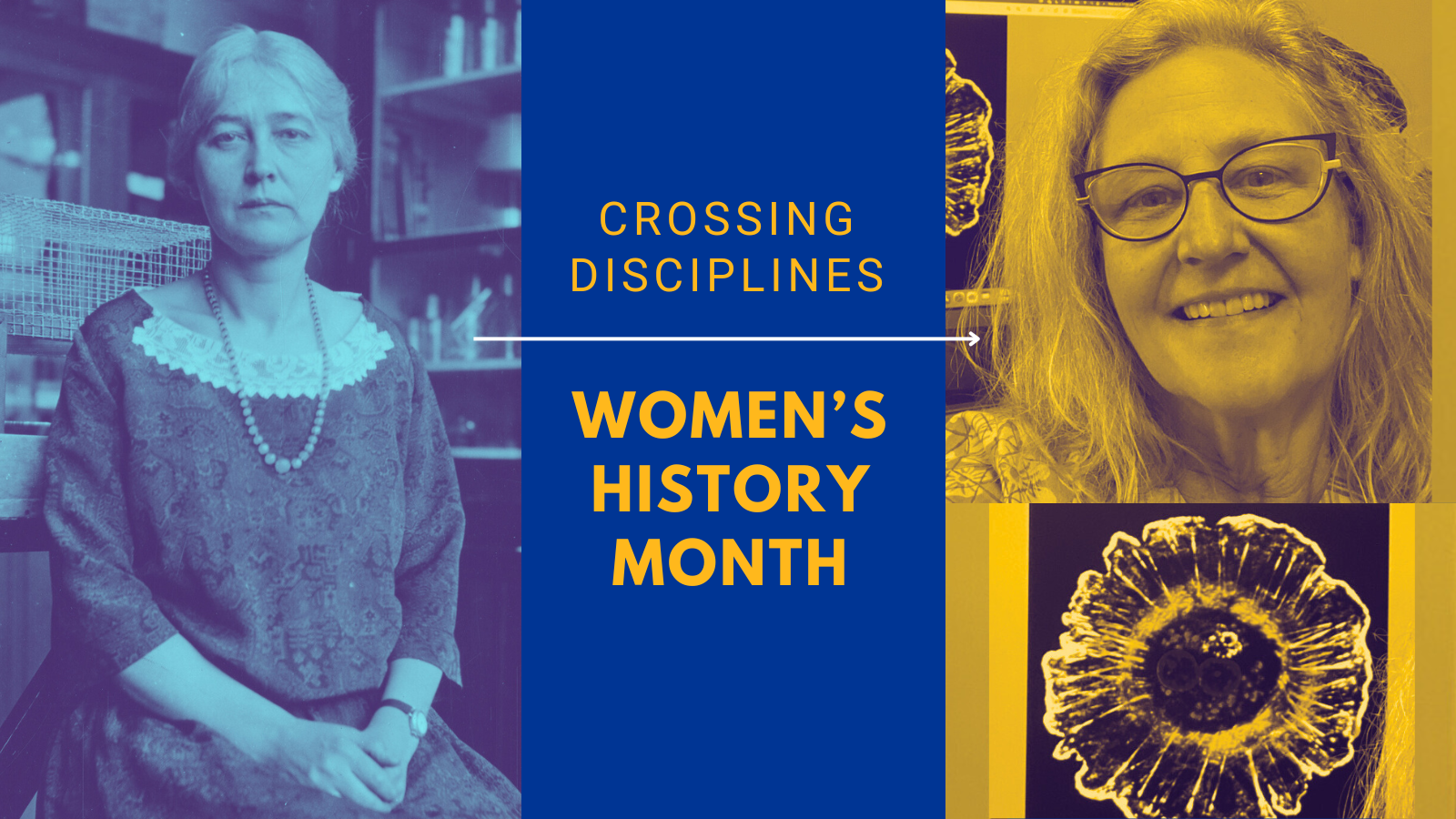 Header with two women that says: Crossing disciplines